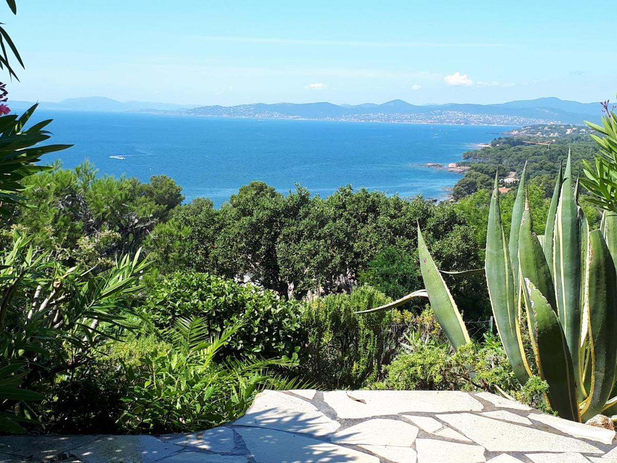 Duplex, Vue Panoramique Sur La Mediterranee, Piscine, Garage Saint-Raphaël Dış mekan fotoğraf