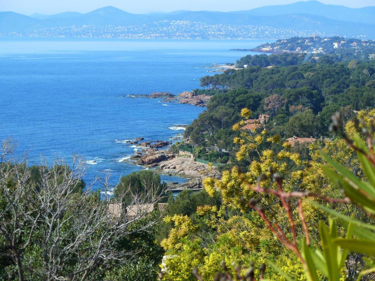 Duplex, Vue Panoramique Sur La Mediterranee, Piscine, Garage Saint-Raphaël Dış mekan fotoğraf