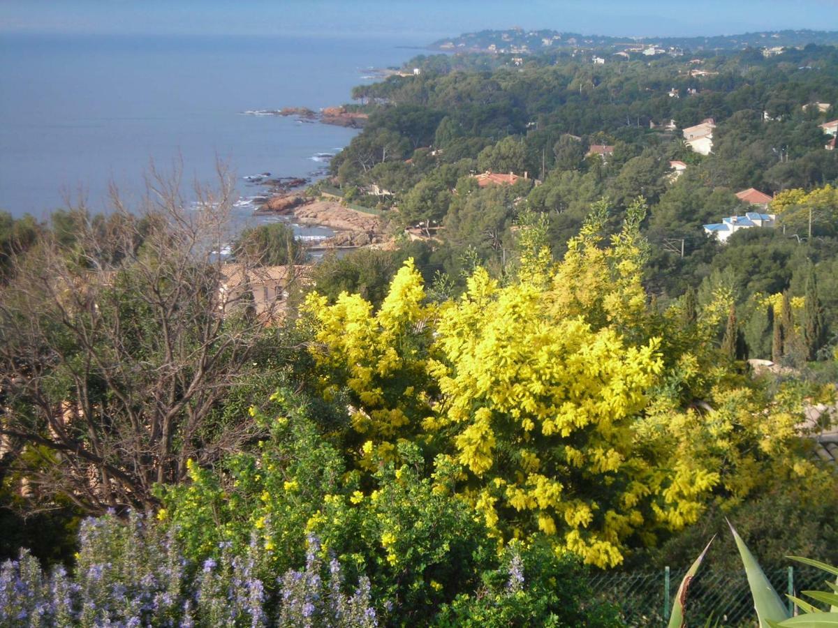 Duplex, Vue Panoramique Sur La Mediterranee, Piscine, Garage Saint-Raphaël Dış mekan fotoğraf